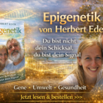 Epigenetik von Herbert Eder