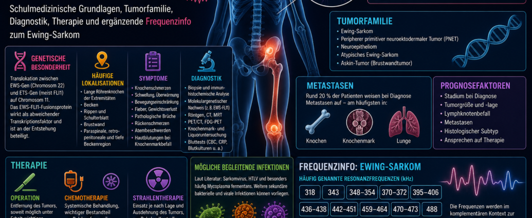 Frequenztherapie bei Ewing-Sarkom - Herbert Eder - Frequenzforscher Infografik zum Ewing-Sarkom: Menschlicher Ganzkörper mit hervorgehobenem Oberschenkelknochen und Tumorbereichen; Überschrift „Frequenztherapie bei Ewing-Sarkom“.