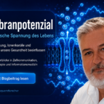 Potencial de membrana - Herbert Eder - Investigador en el campo de las frecuencias Potencial de membrana