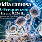 Absidia ramosa - Herbert Eder - Frequenzforscher Poster announcing Absidia ramosa DNA-Frequenzen with fungal imagery and a circular Herbert Eder portrait in the corner.