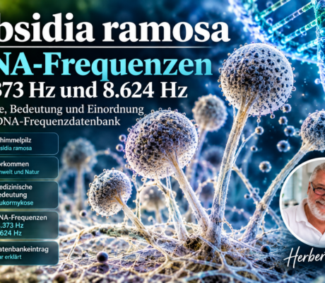 Absidia ramosa - Herbert Eder - Investigador de frecuencias Cartel en el que se anuncian las frecuencias de ADN de Absidia ramosa, con imágenes de hongos y un retrato circular de Herbert Eder en una esquina.