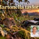 Bartonella taylorii – Anna und Herbert - Herbert Eder - Frequenzforscher Kleines Nagetier auf Moos neben Notizbuch und Fernglas unter dem Titel Bartonella taylorii.