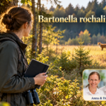 Bartonella rochalimae – Anna und Herbert - Herbert Eder - Frequenzforscher Frau mit Notizbuch blickt auf ein hundeartiges Tier am Waldrand unter dem Titel Bartonella rochalimae.