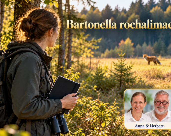 Frau mit Notizbuch blickt auf ein hundeartiges Tier am Waldrand unter dem Titel Bartonella rochalimae.