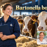 Bartonella bovis – Anna und Herbert - Herbert Eder - Frequenzforscher Frau mit Klemmbrett und Stethoskop steht neben Rindern im Stall unter dem Titel Bartonella bovis.