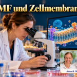 EMF und Zellmembranen – Anna und Herbert - Herbert Eder - Frequenzforscher Wissenschaftlerin am Mikroskop neben einer schematischen Darstellung einer Zellmembran auf einem Bildschirm. Porträtbadge Anna und Herbert rechts unten.