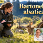 Bartonella alsatica – Anna und Herbert - Herbert Eder - Frequenzforscher Frau mit Klemmbrett beobachtet ein Kaninchen im Freien unter dem Titel Bartonella alsatica.