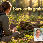 Bartonella grahamii – Anna und Herbert - Herbert Eder - Frequenzforscher Frau mit Notizbuch beobachtet ein Nagetier auf einem Baumstamm unter dem Titel Bartonella grahamii.