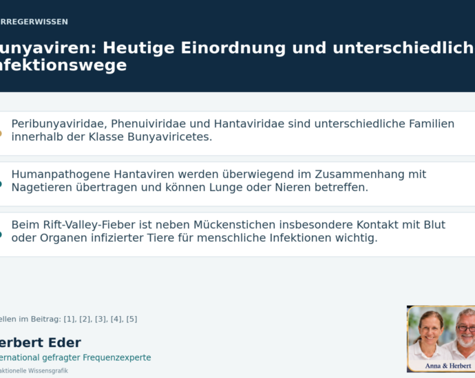 Wissensgrafik zum Thema „Bunyaviren: Heutige Einordnung und unterschiedliche Infektionswege“ mit Erläuterungen und Porträtfeld Anna und Herbert.