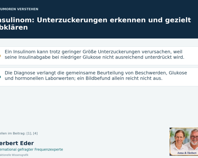 Wissensgrafik zum Thema „Insulinom: Unterzuckerungen erkennen und gezielt abklären“ mit Erläuterungen und Porträtfeld Anna und Herbert.