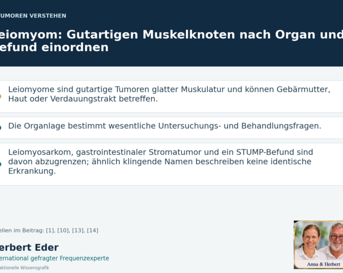 Wissensgrafik zum Thema „Leiomyom: Gutartigen Muskelknoten nach Organ und Befund einordnen“ mit Erläuterungen und Porträtfeld Anna und Herbert.