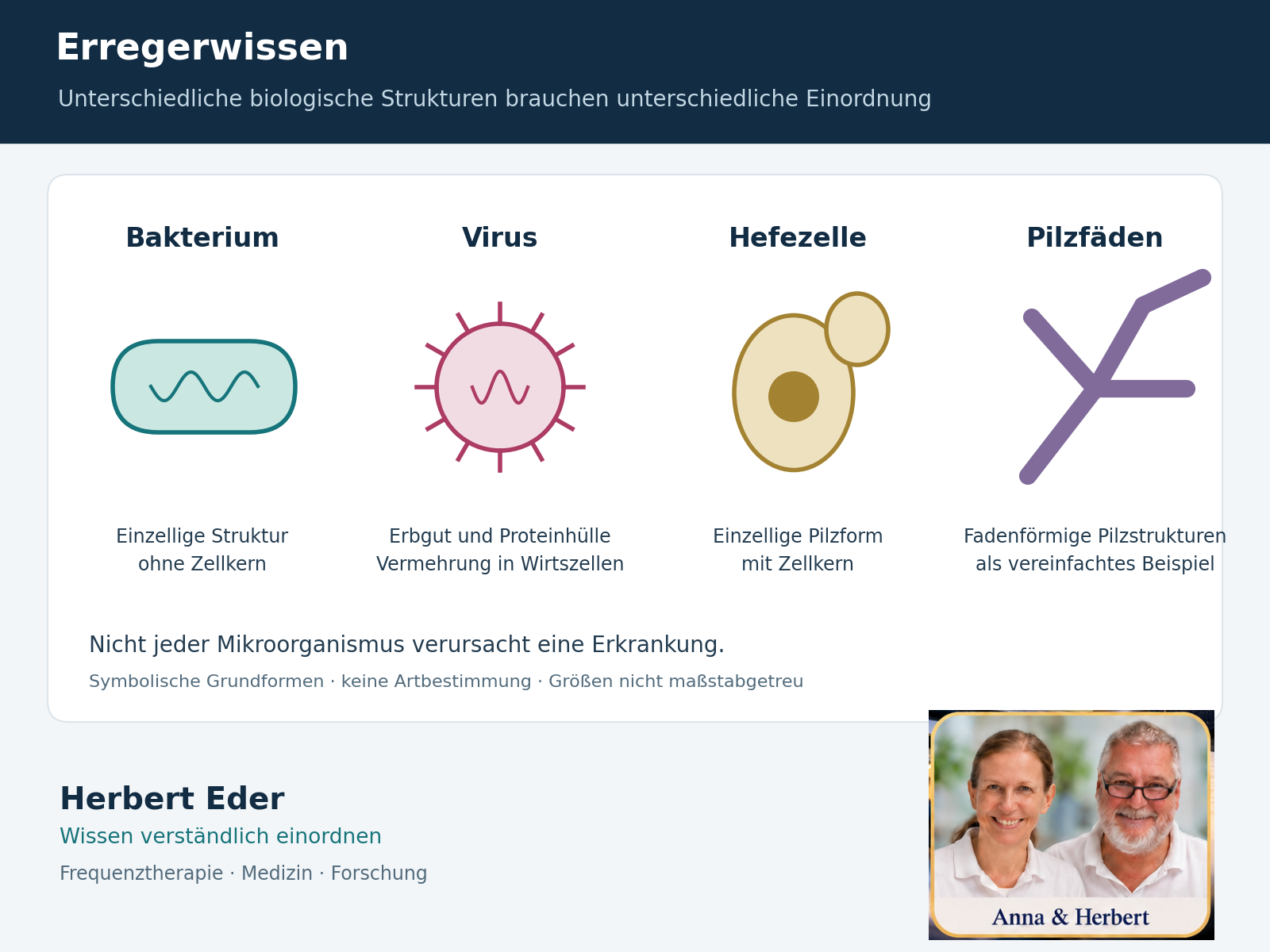 Schematische Symbole für Bakterium, Virus, Hefezelle und verzweigte Pilzfäden.