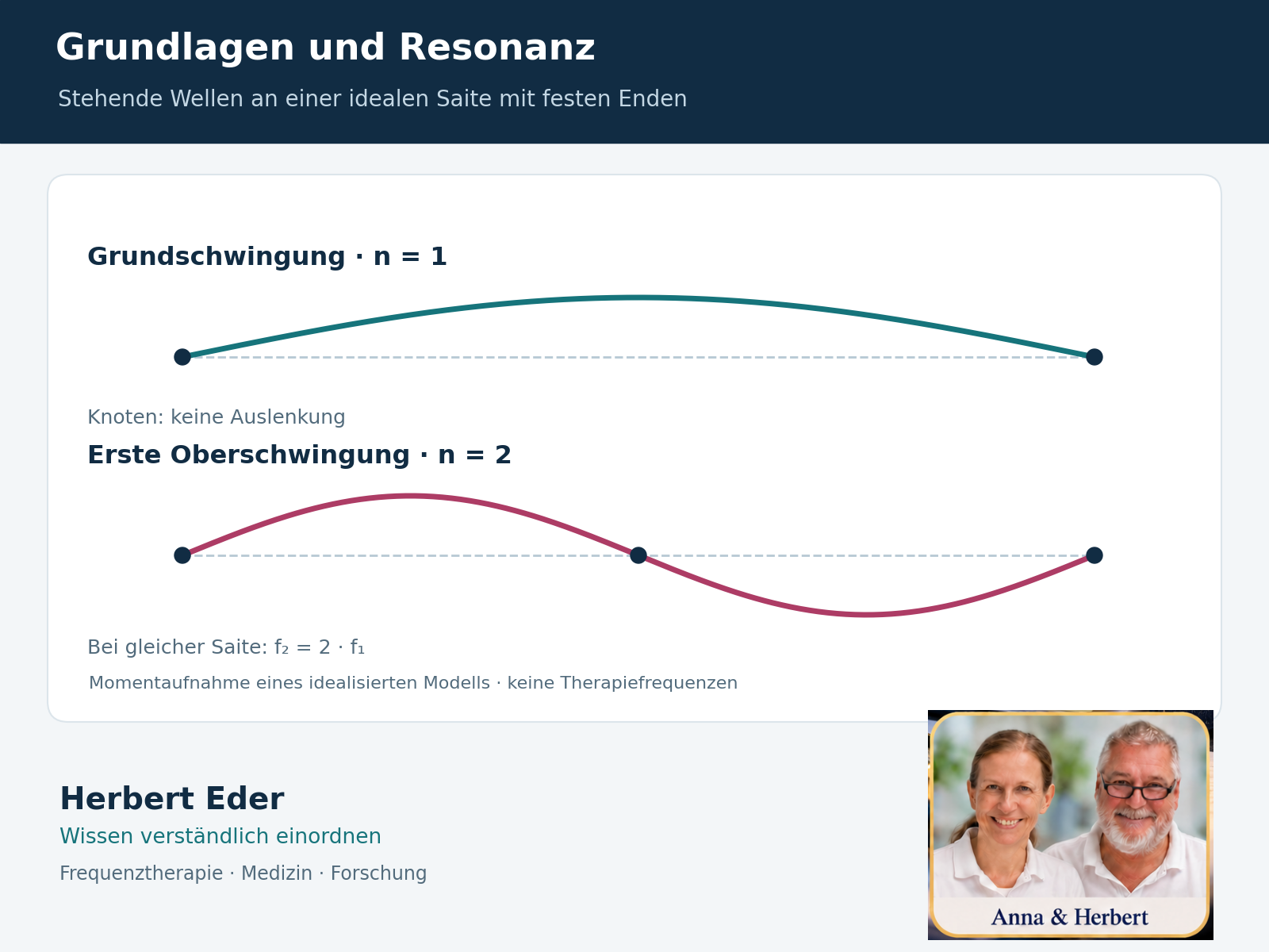 Berechnete Grund- und erste Oberschwingung einer Saite mit festen Enden und markierten Knoten.